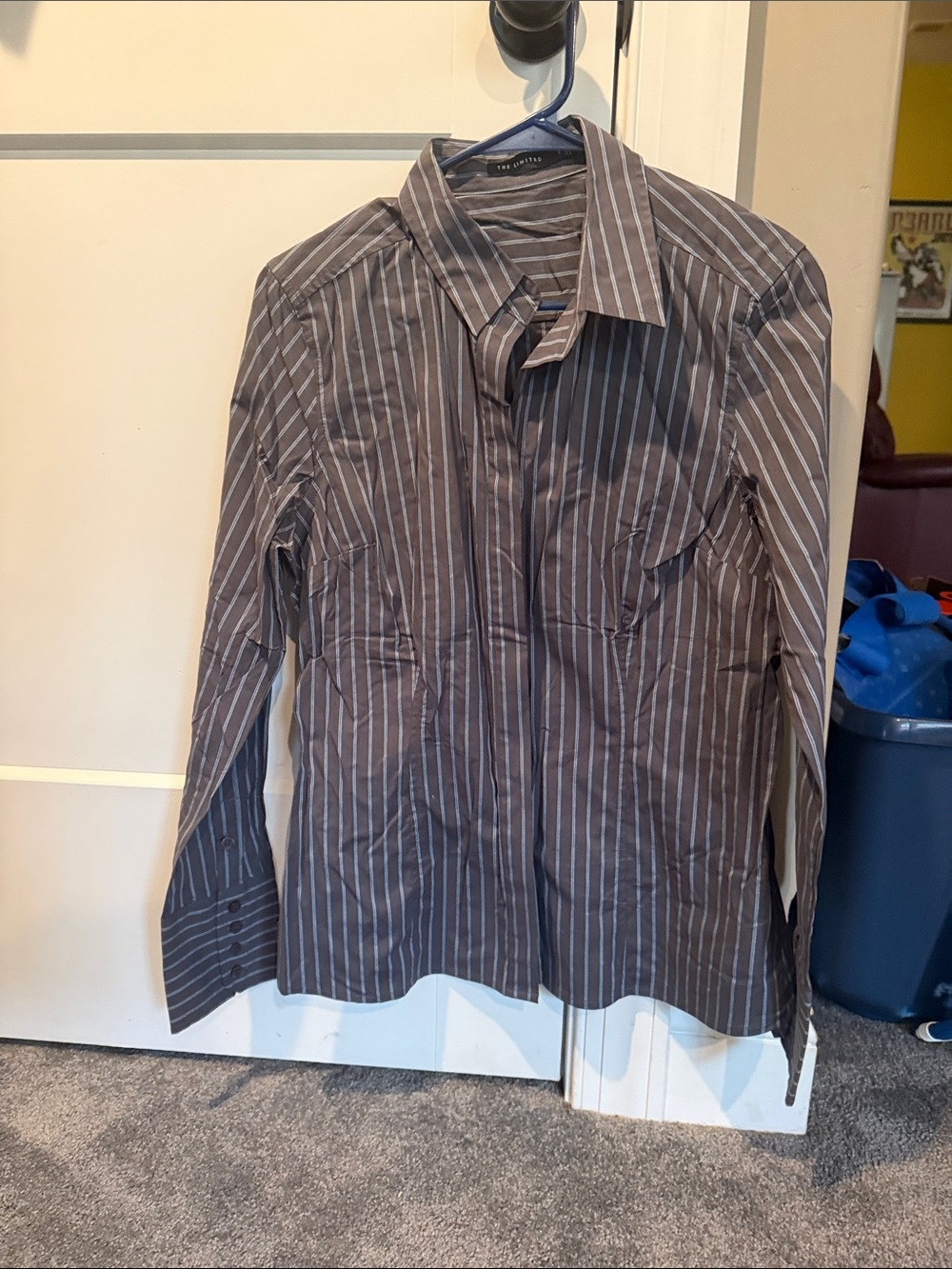 The Limited Women's Brown and White Striped Button-Down Shirt